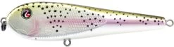 River2Sea ICBM 120 Hard Stickbait/Glidebait -Hot Sale Angling Store 02RainbowTrout eadba6ed 8576 49bb ae99 7c2d8eb79b04