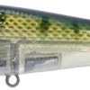 River2Sea ICBM 120 Hard Stickbait/Glidebait