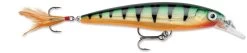 Rapala X-Rap 10 Medium Diving Jerkbait -Hot Sale Angling Store 12381499490359