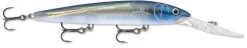 Rapala Down Deep Husky Jerk 12 Deep Diving Jerkbait -Hot Sale Angling Store 12564582858807
