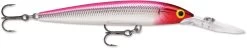 Rapala Down Deep Husky Jerk 10 Deep Diving Jerkbait -Hot Sale Angling Store 12564593868855