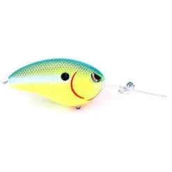 SPRO John Crews Little John DD 70 Extra Deep Diving Crankbait 23 SPRO John Crews Little John DD 70 Extra Deep Diving Crankbait -Hot Sale Angling Store 1 c9d516ce 1bfc 440a b9b3 275d28a3b579