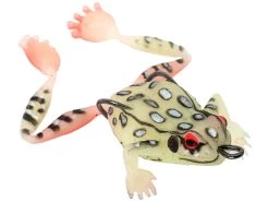 Chasebaits Bobbin' Frog Hollow Body Frog 17 Chasebaits Bobbin' Frog Hollow Body Frog -Hot Sale Angling Store 31437111787609