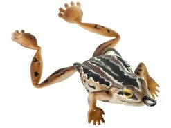 Chasebaits Bobbin' Frog Hollow Body Frog 20 Chasebaits Bobbin' Frog Hollow Body Frog -Hot Sale Angling Store 31437111885913