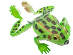 Chasebaits Bobbin' Frog Hollow Body Frog 23 Chasebaits Bobbin' Frog Hollow Body Frog -Hot Sale Angling Store 31437112016985