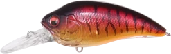 Megabass Super-Z Z-2 Deep Diving Crankbait 18 Megabass Super-Z Z-2 Deep Diving Crankbait -Hot Sale Angling Store 31680796164185