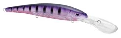 SPRO MadEye Minnow 120 Deep Diving Walleye Trolling Lure -Hot Sale Angling Store 32339518750809