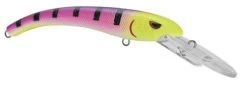 SPRO MadEye Diver 85 Extra Deep Diving Crankbait -Hot Sale Angling Store 32339524419673