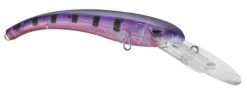 SPRO MadEye Diver 85 Extra Deep Diving Crankbait -Hot Sale Angling Store 32339524616281