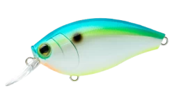 Hardcore Crank 65F 2+ Medium Crankbait -Hot Sale Angling Store 39410750685273