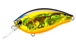 Hardcore Crank 65F 2+ Medium Crankbait -Hot Sale Angling Store 39410750816345