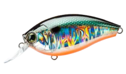 Hardcore Crank 65F 2+ Medium Crankbait -Hot Sale Angling Store 39410750849113
