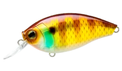 Hardcore Crank 65F 2+ Medium Crankbait -Hot Sale Angling Store 39410750914649