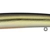 Daiwa Steez Custom HMKL Minnow Jerkbait