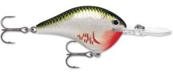 Rapala DT Series Crankbait DT8 -Hot Sale Angling Store 39639347134553