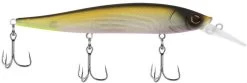 Berkley Stunna Jerkbait -Hot Sale Angling Store 39765505114201