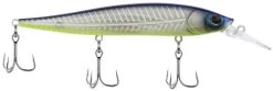 Berkley Stunna Jerkbait -Hot Sale Angling Store 39765505376345