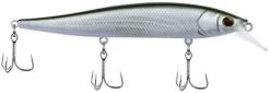 Berkley Stunna Jerkbait -Hot Sale Angling Store 39765505409113