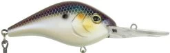 Berkley Dredger Deep Diving Crankbait Deeper Diving Models -Hot Sale Angling Store 40325002985561