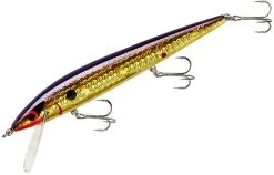 Smithwick Elite 8 Rogue 4 1/2 Inch Suspending Jerkbait 15 Smithwick Elite 8 Rogue 4 1/2 Inch Suspending Jerkbait -Hot Sale Angling Store ADR4213