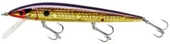 Smithwick Elite 8 Rogue 4 1/2 Inch Suspending Jerkbait 17 Smithwick Elite 8 Rogue 4 1/2 Inch Suspending Jerkbait -Hot Sale Angling Store ADR4213 427dcaa6 8bc9 4645 9527 5e6203b63ad1