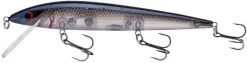 New Release 22 Smithwick Elite 8 Rogue 4 1/2 Inch Suspending Jerkbait