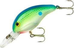 Bandit 200 Series Medium Diving Crankbait 29 Bandit 200 Series Medium Diving Crankbait -Hot Sale Angling Store BDT2D01