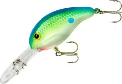 Bandit 300 Series Deep Diving Crankbait -Hot Sale Angling Store BDT3D01