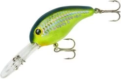 Bandit 300 Series Deep Diving Crankbait -Hot Sale Angling Store BDT3D66