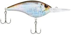Berkley Frittside Medium Diving Flat Sided Crankbait -Hot Sale Angling Store Berkley Frittside HDBluebackHerring 9 alt2
