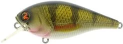 River2Sea Biggie Poppa Bumpin' Rattle Fast Squarebill -Hot Sale Angling Store Biggie09RealPerch