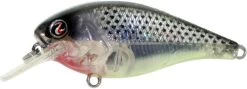River2Sea Biggie Poppa Bumpin' Rattle Fast Squarebill -Hot Sale Angling Store Biggie25T1000