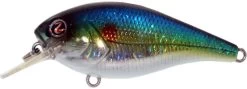 River2Sea Biggie Poppa Bumpin' Rattle Fast Squarebill -Hot Sale Angling Store Biggie39HorizonShad