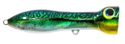 Nomad Design Chug Norris Freshwater/Inshore Popper -Hot Sale Angling Store CHUG95 SGM