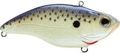 SPRO Aruku Shad 75 Lipless Crankbait 23 SPRO Aruku Shad 75 Lipless Crankbait -Hot Sale Angling Store Cell Mate d6e7b25a 592d 4ca6 8952 d9ed08729a55