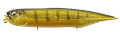 Megabass Dog-X Diamante Rattling Topwater Walker -Hot Sale Angling Store DOG X DIAMANTE RATTLE GG PERCH 5524aa1c cb8b 474b a897 571ab562e18a