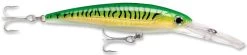 Rapala X-Rap Magnum 15 Big Game Slash Bait -Hot Sale Angling Store Gold Green Mackeral f51ab312 f2af 4c30 a4fc 987f1a81debc