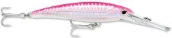 Rapala X-Rap Magnum 15 Big Game Slash Bait -Hot Sale Angling Store Hot Pink UV dcd027df 4fc6 46e7 ad9b d30b1d6099a2