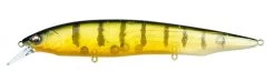 Megabass Kanata Jerkbait -Hot Sale Angling Store Kanata GP Pro Perch