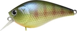 Lucky Craft LC 1.5 Deep Rattle Sound (DRS) Shallow Squarebill Crankbait 11 Lucky Craft LC 1.5 Deep Rattle Sound (DRS) Shallow Squarebill Crankbait -Hot Sale Angling Store LC 1 5DRS 269BEGL