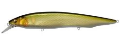 Megabass Kanata Jerkbait -Hot Sale Angling Store PM Kisyu Ayu cc7e4d3c d90a 447b a246 d94c3a0ee230