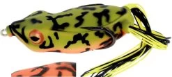 River2Sea Phat Mat Daddy Frog Hollow Body Frog W/ Removable Rattle -Hot Sale Angling Store PhatMatDaddy23Firebelly