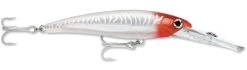 Rapala X-Rap Magnum 40 Big Game Slash Bait -Hot Sale Angling Store Red Head UV 5148fde5 f206 400c a586 c0aebc17870c