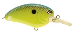 SPRO John Crews Little John MD 50 Crankbait 25 SPRO John Crews Little John MD 50 Crankbait -Hot Sale Angling Store SLJM50CBL ChartreuseBlue