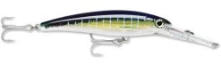 Rapala X-Rap Magnum 40 Big Game Slash Bait -Hot Sale Angling Store Sailfish UV 49f7a10f d6dd 4b31 86c5 efe898da306a