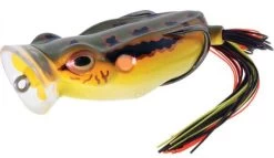 River2Sea Spittin' Wa 70 Topwater Frog 13 River2Sea Spittin' Wa 70 Topwater Frog -Hot Sale Angling Store Spittinwa04 coppergreen
