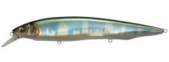 Megabass Kanata Jerkbait -Hot Sale Angling Store Wagin Hasu KT 5e065057 94aa 4b11 95e3 75e8bd13a292