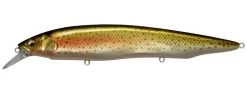 Megabass Kanata Jerkbait -Hot Sale Angling Store Wagin Niji 2 bbf58642 7ea6 4d65 aa6c 17c822687cc3