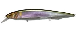 Megabass Kanata Jerkbait -Hot Sale Angling Store Wagin Setsuki Ayu 26733aab 41ec 429e b177 e056fe00ddce