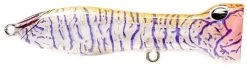 Nomad Design Chug Norris Freshwater/Inshore Popper -Hot Sale Angling Store holographic purplse shrimp
